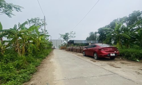 Bán đất đấu giá view vườn hoa Tân Ngọc, Bá Hiến, Bình Xuyên, Vĩnh Phúc