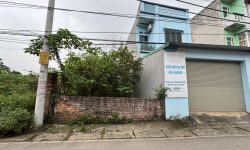 Bán đất trục chính đường Văn Miếu, Làng Bầu, Vĩnh Yên, Vĩnh Phúc