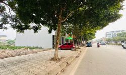 Bán đất  Đường Trần Phú (QL2B) KĐT Chùa Hà Tiên-liên Bảo-Vĩnh Yên-Vĩnh Phúc