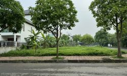 Bán lô góc biệt thự khu B Nam Đầm Vạc, Khai Quang, Vĩnh Yên.