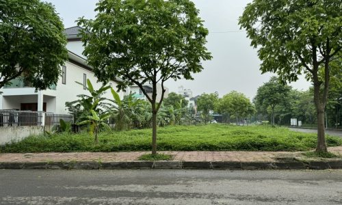Bán lô góc biệt thự khu B Nam Đầm Vạc, Khai Quang, Vĩnh Yên.