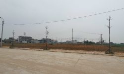 Bán 120m2 hướng Tây Nam đất Vân Tập, Vân Hội, Tam Dương, Vĩnh Phúc.