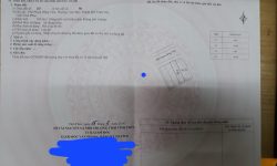 Bán đất phân lô mặt phố Phạm Hồng Thái, Liên Bảo, Vĩnh yên, Vĩnh Phúc. Dt 100m2 giá rẻ