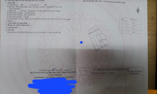 Bán đất phân lô mặt phố Phạm Hồng Thái, Liên Bảo, Vĩnh yên, Vĩnh Phúc. Dt 100m2 giá rẻ