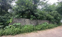 Bán đất rộng xây nhà trọ tại thôn Quế, Hướng Đạo Tam Dương, Vĩnh Phúc