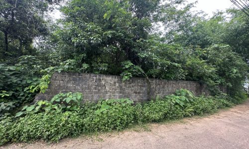 Bán đất rộng xây nhà trọ tại thôn Quế, Hướng Đạo Tam Dương, Vĩnh Phúc