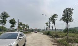 Bán đất khu phân lô đấu giá Lai Sơn – Vĩnh yên – Vĩnh Phúc. Hướng ĐB