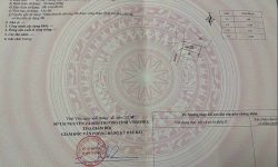 Chỉ hơn 2 tỷ sở hữu 1 Ô đất giữa trung tâm Thành Phố Vĩnh yên, Vĩnh Phúc