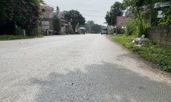 Bán đất trục chính kinh doanh TL306 Lập Thạch – Vĩnh Phúc