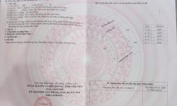 Bán đất ngay gần X32, Kho Y, Trường sĩ quan Tăng thiết giáp Kim Long, Tam Dương, Vĩnh Phúc