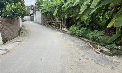 Bán đất tại Xóm Láp, Liên bảo, Vĩnh yên, Vĩnh Phúc. Giá 16,5 triệu/m2