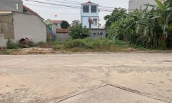 Bán đất khu Giàn Chiếu, Hợp Thịnh, Tam Dương, Vĩnh Phúc.
