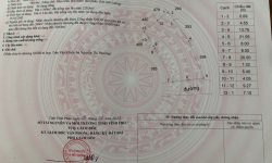 Bán ô đất rộng trục chính Hữu Thủ, Tam Dương, Vĩnh Phúc. DT 588mm2 giá rẻ