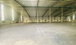 Cho thuê 10.000m2 kho xưởng tại, Bình xuyên, Vĩnh phúc.