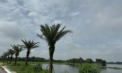 Bán ô đất biệt thự sát góc cạnh hồ khu đô thị Nam Đầm Vạc, Vĩnh Yên, Vĩnh Phúc.