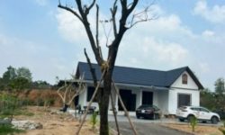 Bán ô góc đất rừng đẹp làm trang trại cực kỳ chất tại Thanh Vân, Tam Dương, Vĩnh Phúc.