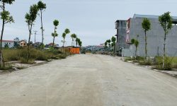 Bán đất dãy D đường 19,5m khu đấu giá Lai Sơn, Đồng Tâm, Vĩnh Yên.