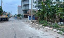 Bán đất khu Tân Ngọc, Bá Hiến, Bình Xuyên, Vĩnh Phúc. DT 133m2