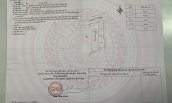 Bán ô đất tại Liên Bảo, Vĩnh Yên, Vĩnh Phúc. DT 1028m2 giá 15.5 triệu/m2