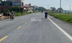 Bán đất đấu giá trục chính kinh doanh TL306 Lập Thạch – Vĩnh Phúc
