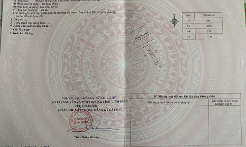 Bán nhà mặt phố Hùng Vương, Đồng Tâm, Vĩnh yên, Vĩnh Phúc. DT 187m2