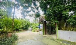 Bán ô đất 217m2 đầu tư cực đẹp tại xóm Chùa, Định Trung, Vĩnh Yên, Vĩnh Phúc.