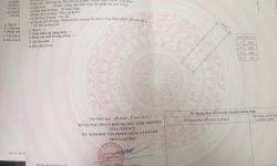 Bán 2 ô đất liền nhau mặt đường 302 tại chợ Vồ, thị trấn Gia Khánh, Bình Xuyên, Vĩnh Phúc.