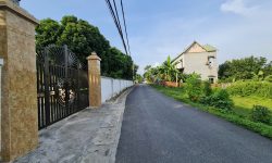 Bán đất trục chính thôn Xuân Mới, Thanh Vân, Tam Dương, Vĩnh Phúc. Gia 1 tỷ