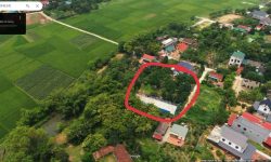 Bán đất xây biệt thự thôn Đồng Bông, thị trấn Kim Long, Tam Dương, Vĩnh Phúc.