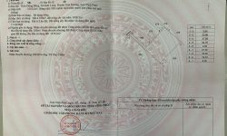 Bán đất tại Kim Long, Tam Dương, Vĩnh Phúc.  DT 1118m2