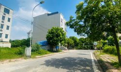 Bán đất phân lô quy hoạch băng hai đường phố Bà Triệu, Liên Bảo, Vĩnh Yên.