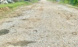 Bán đất phân lô tại Vinh Tiến, Bá Hiến, Bình Xuyên, Vĩnh Phúc.