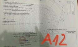 Bán 542m2 đất thôn Kiên tràng, Tam quan, Tam đảo.