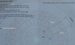 Bán đất một lô duy nhất giá rẻ tại Đồng Bắc,TT Kim Long , Tam Dương, Vĩnh Phúc