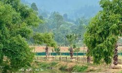 Bán đất siêu đẹp tại Ngọc Thanh, Phúc yên, Vĩnh Phúc. DT 8000m2 giá chỉ 6,5 triệu/m2
