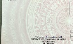 Chính Chủ Bán Đất 156,3m2 Xã Trung Nguyên
