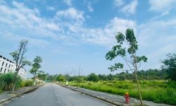 Bán đất biệt thự song lập có sổ hồng cá nhân khu đô thị Park Hill Thành Công, Định Trung,Vĩnh Yên.