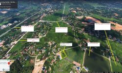 Cần tiền bán gấp 2400m2 đất full thổ cư thôn Quế, Hướng đạo, Tam dương.