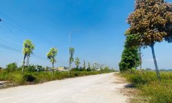 Bán ô đất đấu giá Lai Sơn, Đồng Tâm, Vĩnh Yên, Vĩnh Phúc. Giá cực mềm