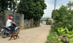 Bán 240m2 đất Thôn Gô, Kim long, giá 1.x tỷ