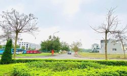 Bán ô đất biệt thự siêu đẹp tại Park Hill Thành Công, Vĩnh Phúc.