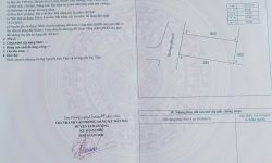 Bán ô đất đẹp tại Thôn Gô, Kim Long, Tam Dương, Vĩnh Phúc. DT 240m2