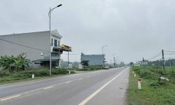 Bán đất tỉnh lộ 309 Hoàng Hoa, Tam Dương, Vĩnh Phúc. DT 120m2