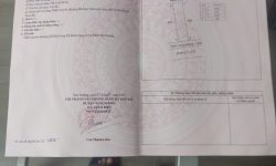 Bán đất đường 310 gần mầm non Kim Long B, Tam Dương, Vĩnh Phúc