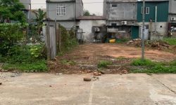 Bán đất khu phân lô gần đường 310 May Mặc, Kim Long, Tam Dương, Vĩnh Phúc.