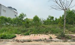 Bán đất khu phân lô Đồng Xuân, thị trấn Kim Long, Tam Dương, Vĩnh Phúc
