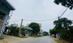 Bán đất tặng xưởng mặt đường 302C Hoàng Oanh, Hương Sơn, Bình Xuyên, Vĩnh Phúc.