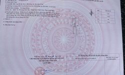 Bán đất tại trục chính Làng bầu, Liên Bảo, Vĩnh Yên, Vĩnh Phúc. Giá 2,35 tỷ.