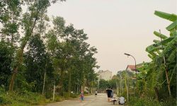 Bán đất khu may mặc Kim Long , Tam Dương, dt 100m2 giá 1.6x tỷ
