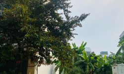Bán đất Khu đô thị Quảng Lợi, Tích Sơn, Vĩnh Yên, Vĩnh Phúc. Giá chỉ 2,47 tỷ